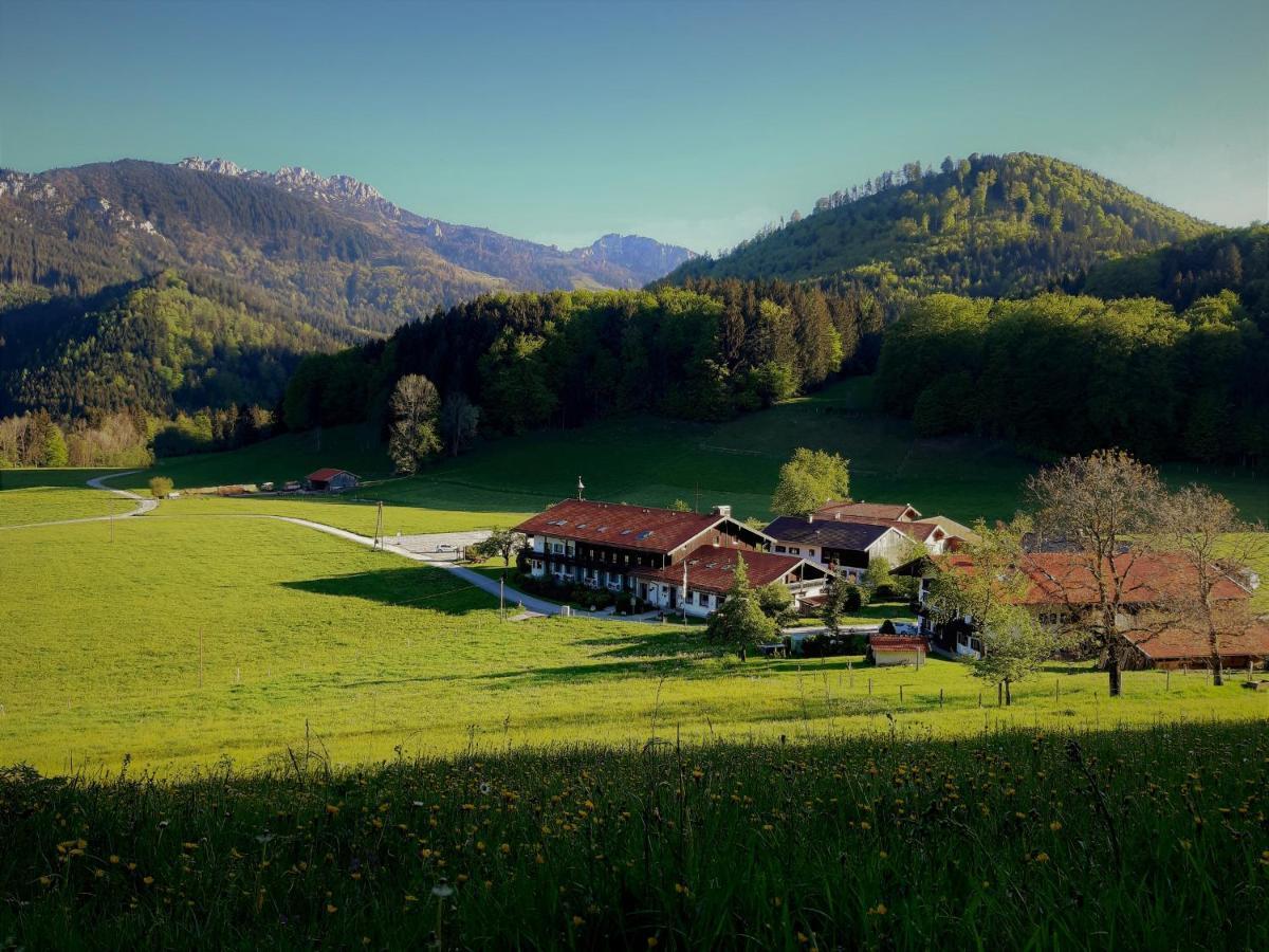 Апартаменты Gschwendtnerhof App10 Krausw Ашау-им-Химгау Экстерьер фото